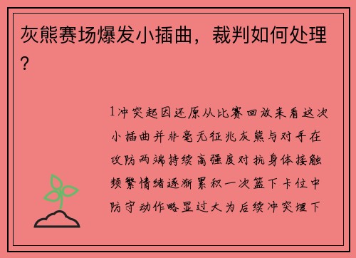 灰熊赛场爆发小插曲，裁判如何处理？